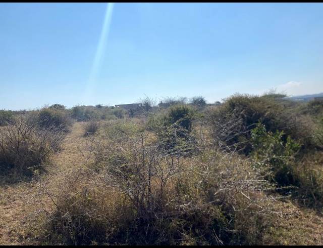 LAND FOR SALE IN MANKWENG